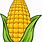 Corn Cob Cartoon