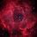 Cosmic Rose Nebula