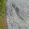 Cracks in Road