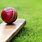 Cricket Ball Background