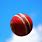 Cricket Ball in the Air