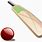 Cricket Bat and Ball Transparent