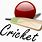 Cricket Cartoon Logo