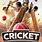 Cricket Event Poster