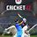 Cricket PC Game Free Download