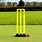 Cricket Stumps with Base