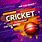 Cricket Team Banner Design