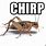 Crickets Chirping Meme