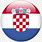 Croatia Flag Logo