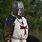 Crusade Knight