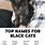 Cute Black Cat Names Female