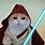 Cute Cat Star Wars