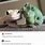 Cute Lizard Memes
