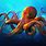 Cute Octopus Images