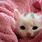 Cute Pink Cat Pictures