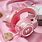 Cute Pink Headphones
