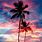 Cute Sunset Palm Trees