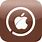Cydia iOS Icon
