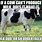 Dairy Cow Meme