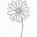 Daisy Flower Pencil Drawing
