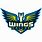 Dallas Wings Alternate Logo