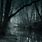 Dark Swamp Background