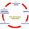 Database Development Life Cycle