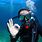 Deep Sea Diver Pictures