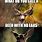Deer Meme