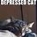 Depression Cat Meme