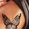 Detailed Butterfly Tattoo