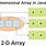 Dimensional Array