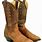 Distressed Cowboy Boots