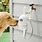 Dog Drinking Water Hose