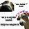 Dog Memes Tagalog