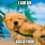 Dog On Beach Meme