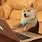 Dog at Keyboard Meme