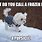 Dog in Snow Meme