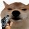 Doge Holding Gun Meme
