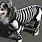 Dogs in Halloween Costumes