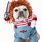 Dogs with Costumes