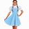 Dorothy Wizard of Oz Costume