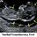 Down Syndrome Ultrasound Nuchal Translucency