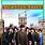 Downton Abbey Season 5 DVD