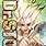 Dr Stone Cover
