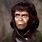 Dr. Zira Planet of Apes
