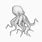 Draw an Octopus