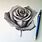 Drawing a Rose Realistic