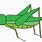 Drawing of a Grasshopper