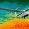 Drones with Thermal Imaging